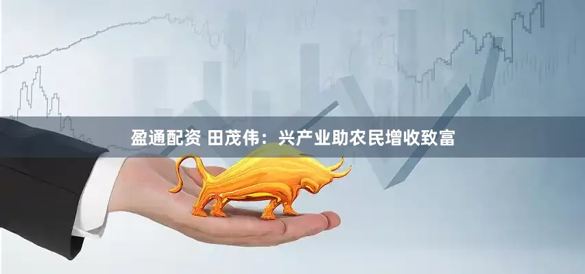 盈通配资 田茂伟：兴产业助农民增收致富