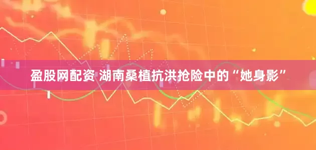 盈股网配资 湖南桑植抗洪抢险中的“她身影”
