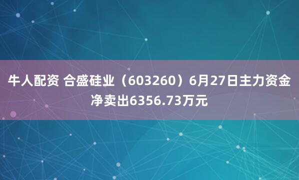 牛人配资 合盛硅业（603260）6月27日主力资金净卖出6356.73万元