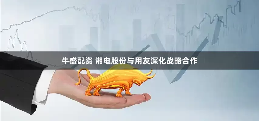 牛盛配资 湘电股份与用友深化战略合作